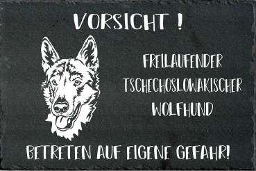 Schieferplatte Tschechoslowakischer Wolfhund