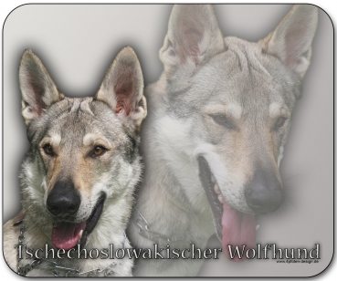 Mousepad Tschechoslowakischer Wolfhund #1