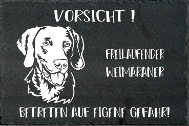 Schieferplatte Weimaraner