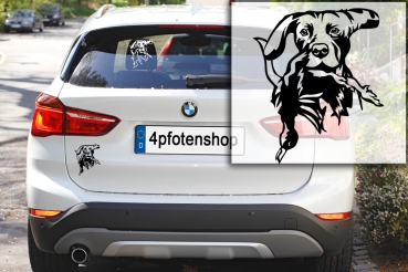 Autoaufkleber "Weimaraner"