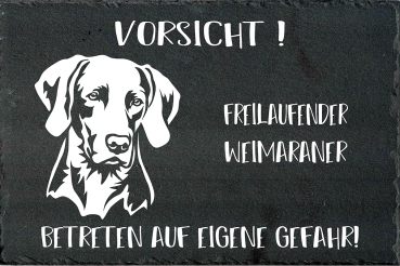 Schieferplatte Weimaraner