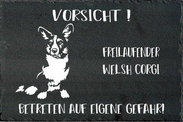 Schieferplatte Welsh Corgi