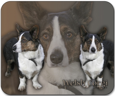 Mousepad Welsh Corgi