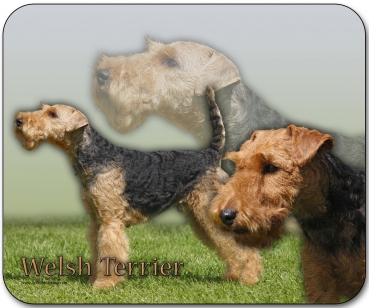 Mousepad Welsh Terrier #1