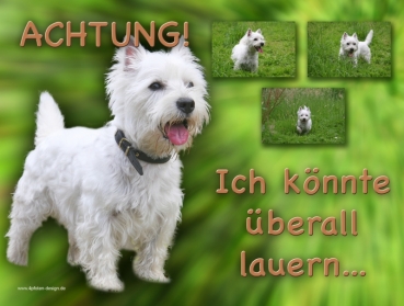 Hundewarnschild West Highland Terrier #3