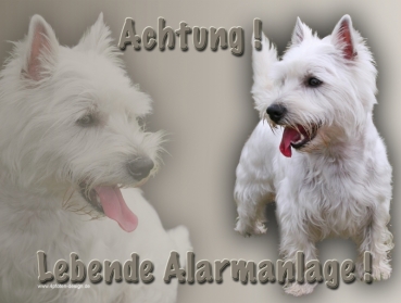 Hundewarnschild West Highland Terrier #4