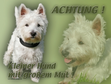 Hundewarnschild West Highland Terrier #5