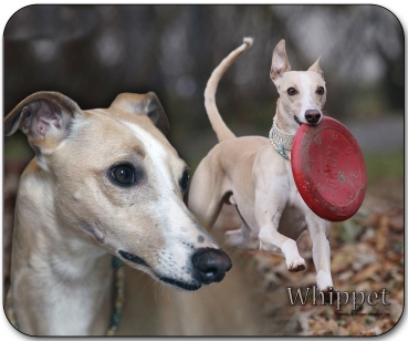 Mousepad Whippet