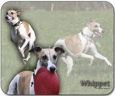 Mousepad Whippet #5