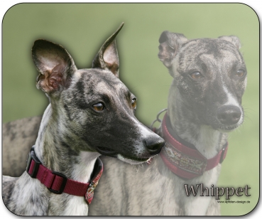 Mousepad Whippet #6