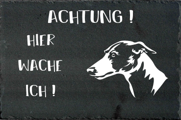 Schieferplatte Whippet