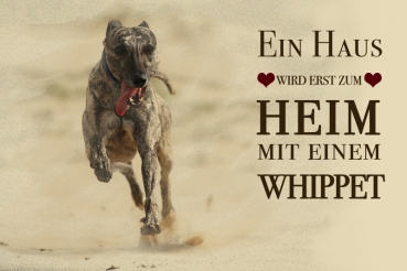 Nostalgieschild - Hundeschild im Retrostil Motiv: Whippet #2