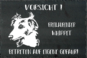 Schieferplatte Whippet (Langhaar Whippet)