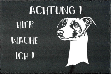 Schieferplatte Whippet