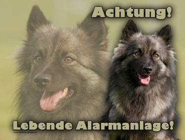 Hundewarnschild Wolfsspitz #1