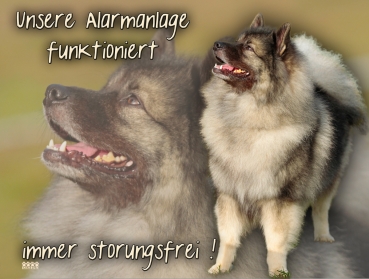 Hundewarnschild Wolfsspitz #2