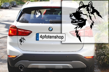 Autoaufkleber "Wolfsspitz" Kopf