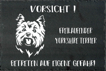 Schieferplatte Yorkshire Terrier