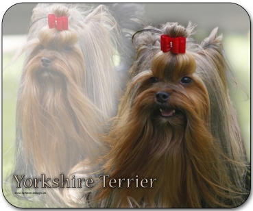 Mousepad Yorkshire Terrier #1