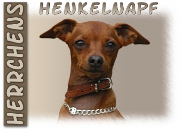 Fototasse Zwergpinscher