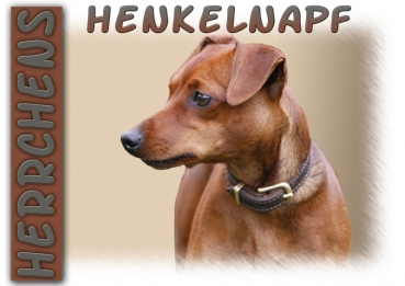 Fototasse Zwergpinscher