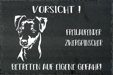 Schieferplatte Zwergpinscher