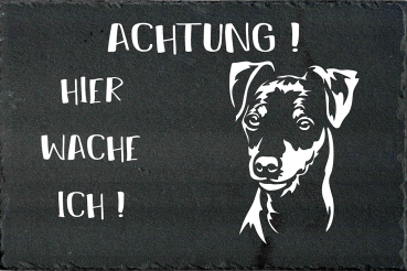 Schieferplatte Zwergpinscher