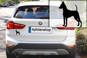 Autoaufkleber Zwergpinscher stehend Silhouette