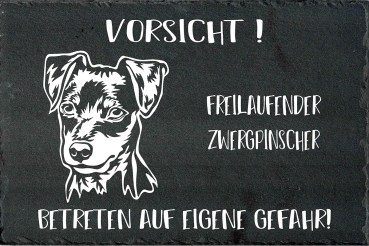 Schieferplatte Zwergpinscher