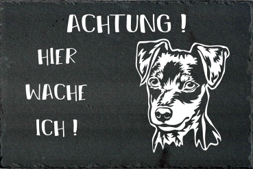 Schieferplatte Zwergpinscher