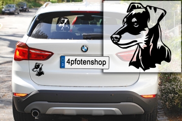 Autoaufkleber "Zwergpinscher" Kopf