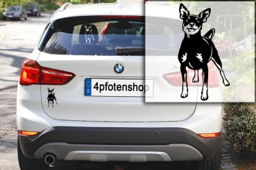 Autoaufkleber "Zwergpinscher" Kontur