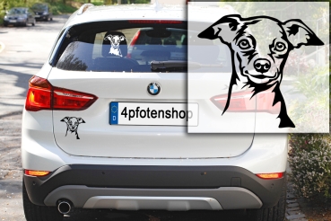 Autoaufkleber "Zwergpinscher" Kopf