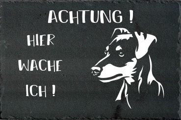 Schieferplatte Zwergpinscher