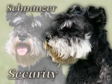 Hundewarnschild Zwergschnauzer #1