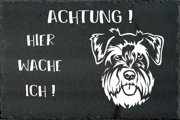 Schieferplatte Zwergschnauzer