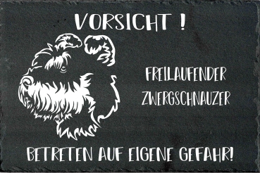 Schieferplatte Zwergschnauzer