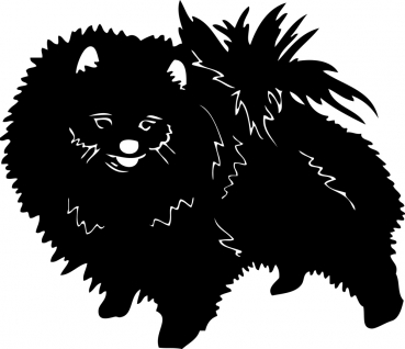 Autoaufkleber Zwergspitz (Pomeranian) stehend Silhouette