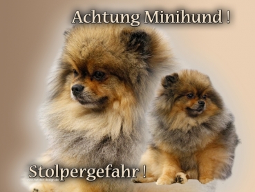 Hundewarnschild Zwergspitz #2