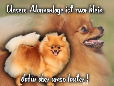 Hundewarnschild Zwergspitz #3