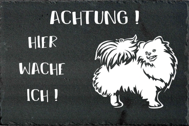 Schieferplatte Zwergspitz (Pomeranian)