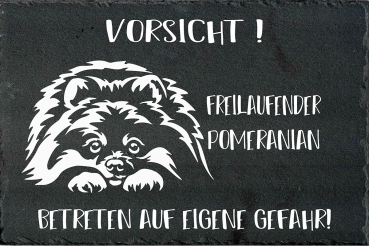 Schieferplatte Zwergspitz (Pomeranian)