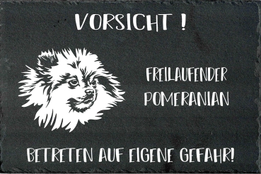 Schieferplatte Zwergspitz (Pomeranian)