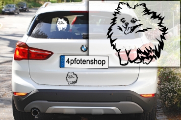 Autoaufkleber "Zwergspitz (Pomeranian)" Kontur