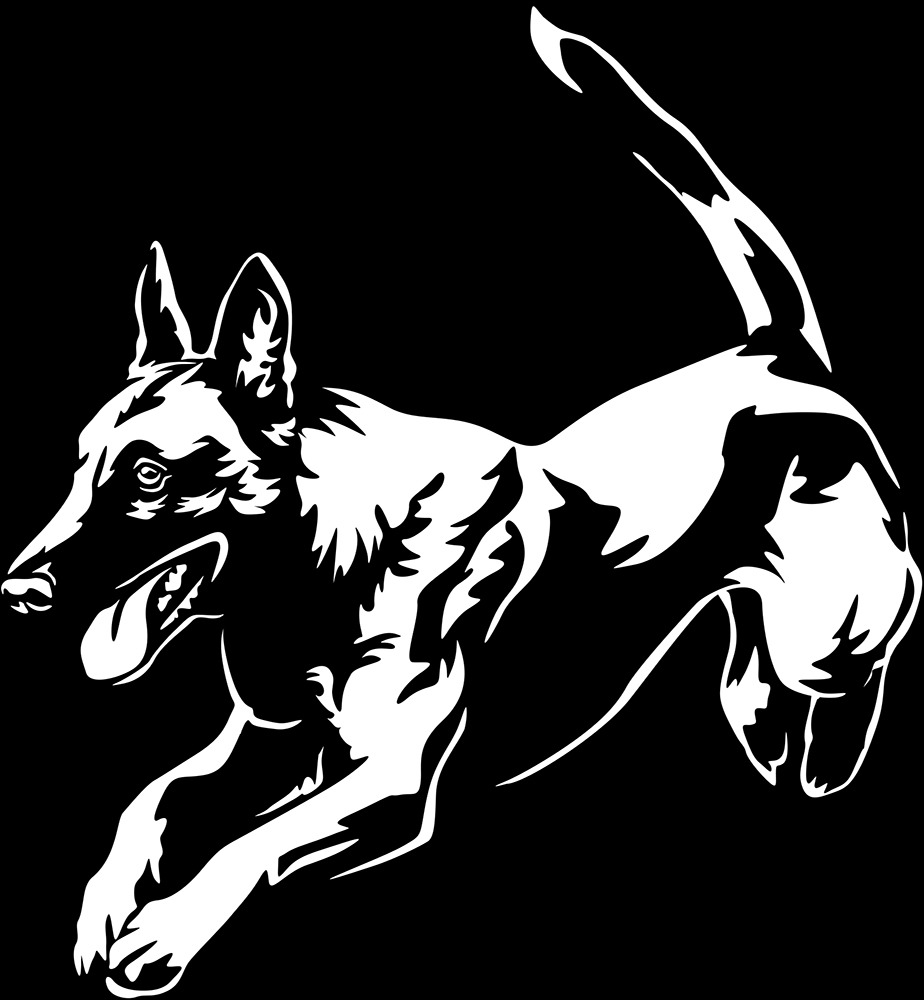 siviwonder Auto Aufkleber Malinois Profil Hundeaufkleber autoaufkleber Hund  Folie Hundemotiv Wilsigns Black : : Auto & Motorrad