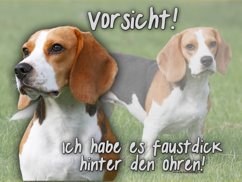 Hundewarnschilder und kratzfeste Autoaufkleber mit