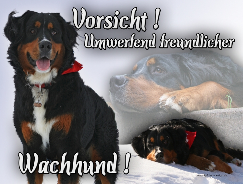 Hundewarnschilder und kratzfeste Autoaufkleber mit