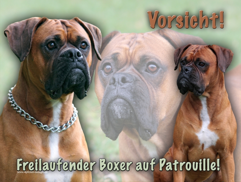 ++ Metall WARNSCHILD Schild Hundeschild Sign DBX 11 T15 Deutscher BOXER 