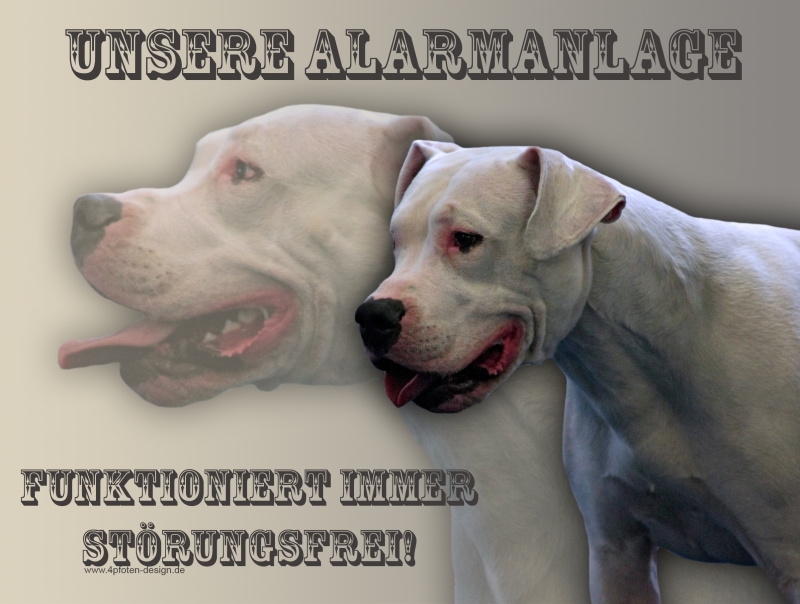 Schild Schiefertafel Dogo Argentino Warnung Hundeschild Türschild Schieferschild