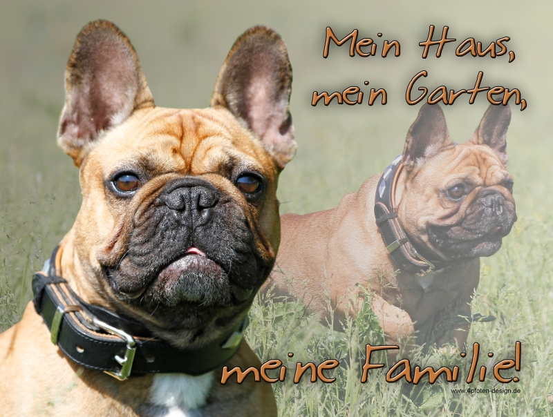 Metallschild für Innen oder Hund Warnung I Live Here Französische Bulldoge 